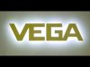 VEGA Americas INC